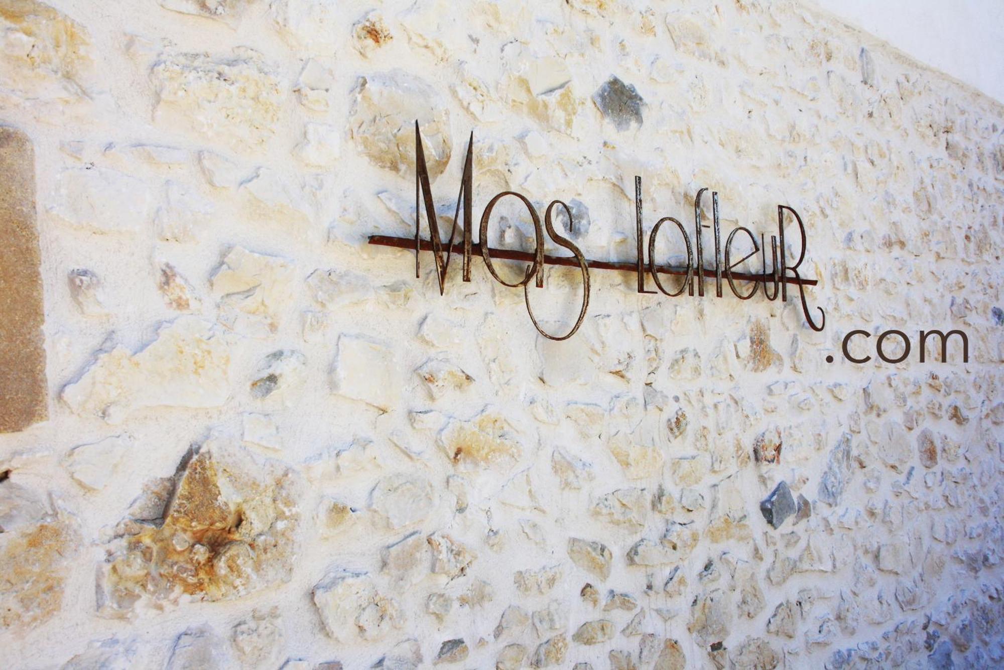 Mas Lafleur Acomodação com café da manhã Châteaurenard Exterior foto